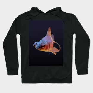 Grumpy Fish (gradient) Hoodie